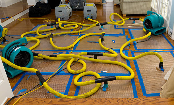 Professional Water Damage Repair technician working in Kaibeto, AZ